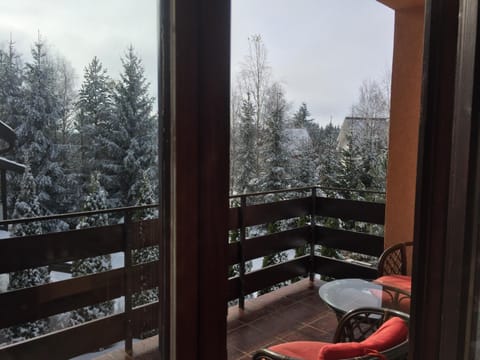 Apartments Dobra Vila Apartment in Zlatibor