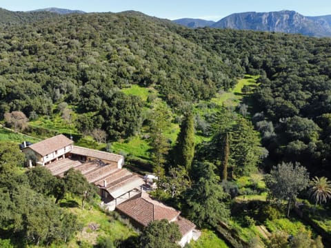 Bird's eye view, Mountain view