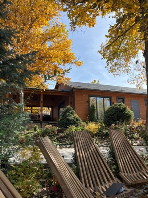 Day, Garden, Garden view