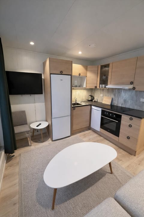 Kitchen or kitchenette, Dining area, dishwasher, oven, stove