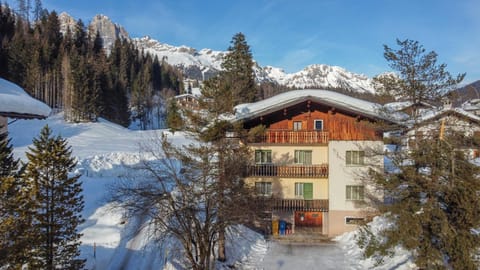 Property building, Winter