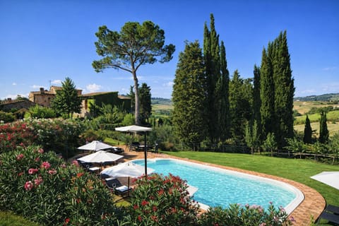 Natural landscape, Garden, Garden view, Pool view, Swimming pool, sunbed