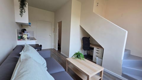 LX155 Roof terrace city center Mobility Lease Apartment in Nice