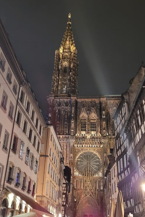 Nearby landmark, Night, City view, Landmark view