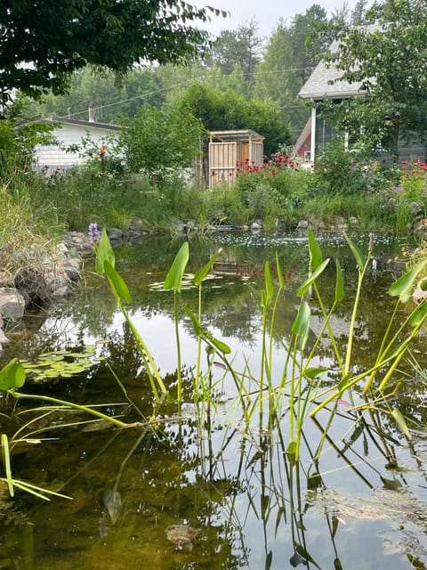 Natural landscape