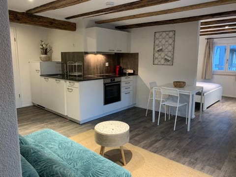 Kitchen or kitchenette, Living room, Seating area, Dining area, oven, stove