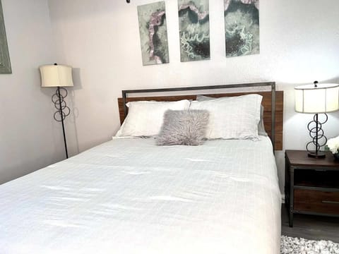 Modern 2BD Pool DFW South Irving I20 House in Irving