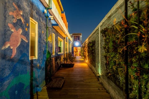 Facade/entrance, Garden, Garden view