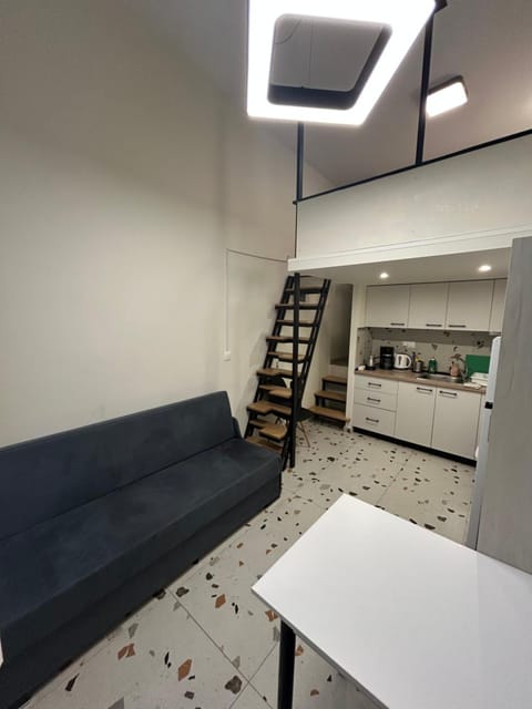 Living room, kitchen