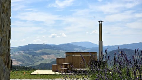 Hot Tub, Mountain view