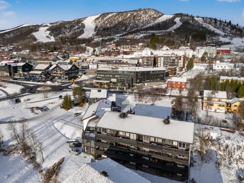 Property building, Day, Neighbourhood, Bird's eye view, Winter, City view, Mountain view, Street view