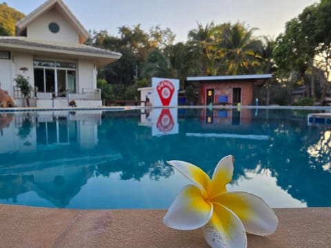 Pool view, Swimming pool, sunbed