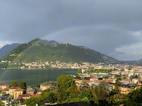 Lake view