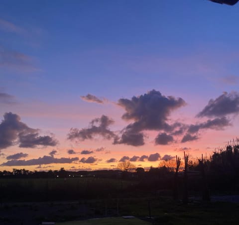Garden, View (from property/room), Sunset