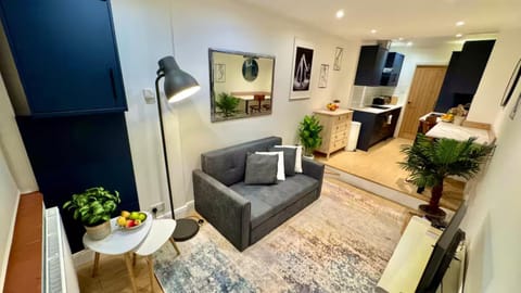 Living room, Photo of the whole room, Seating area, kitchen