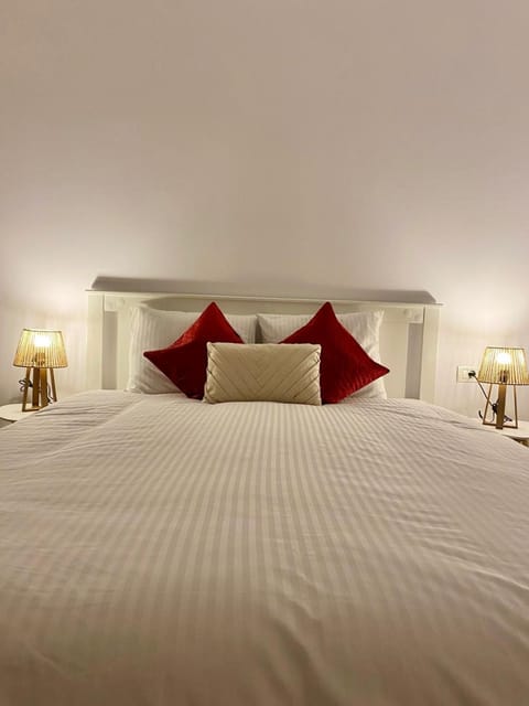 Central Cozy Apartment Apartment in Timisoara