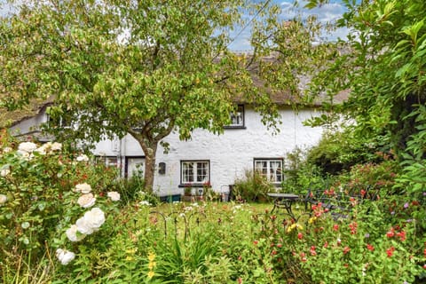 Property building, Spring, Day, Garden, Garden, Garden view