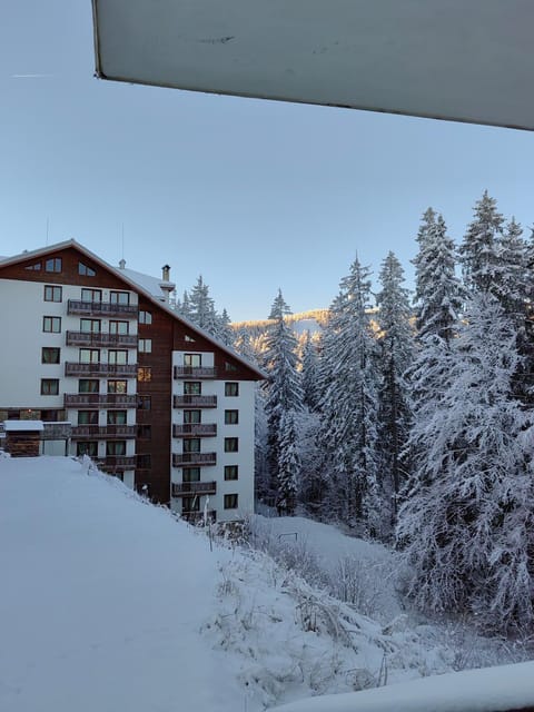 Mountain view, Mountain view