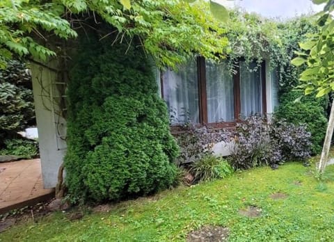 Apartament Szpilka - domek House in Szczecin