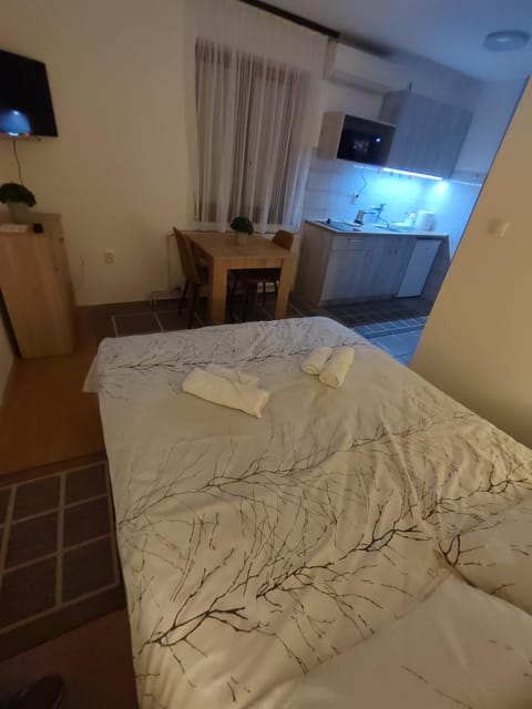 Apartman Stay 23 Studio Apartment in Vojvodina