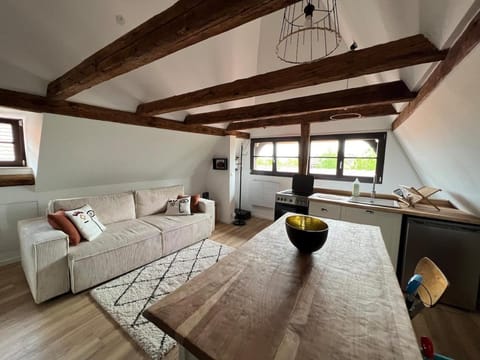 Kitchen or kitchenette, Living room, Seating area, Dining area