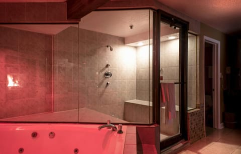 Essence Suites Hotel in Orland Park