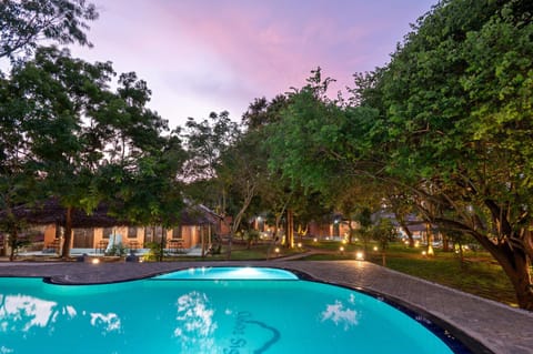 Spring, Day, Natural landscape, Garden, Garden view, Pool view, Swimming pool, Swimming pool, sunbed