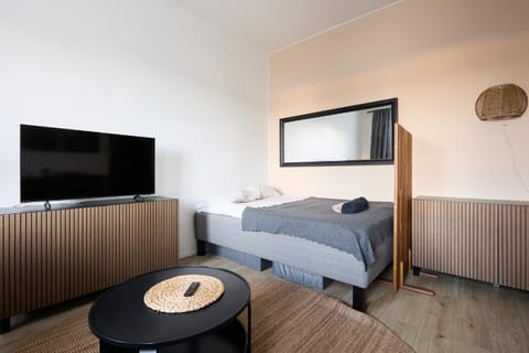 Bed, Living room, Photo of the whole room, Seating area, Bedroom