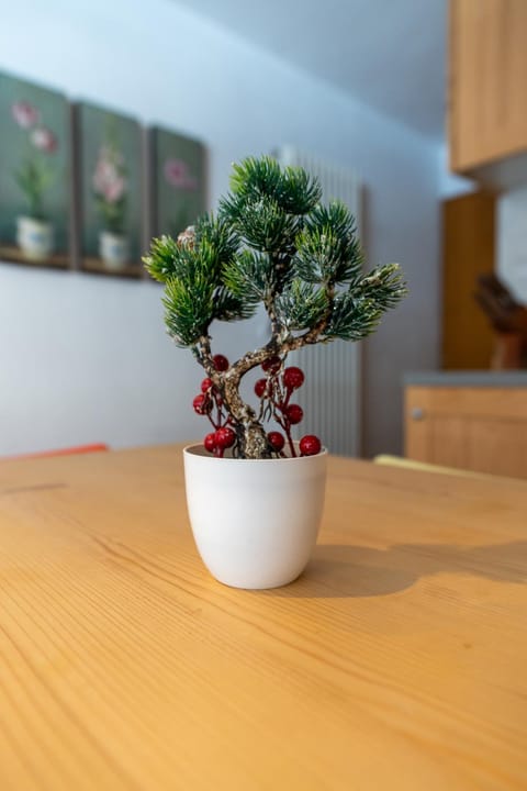 [Campiglio_Panoramic_Apartment] + 2 Free Parkings Apartment in Madonna di Campiglio