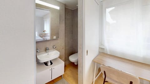 Swiss Flat rental 2 Apartment in Nidwalden