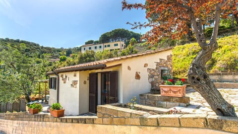 Property building, Spring, Day, Natural landscape, Garden, Garden view