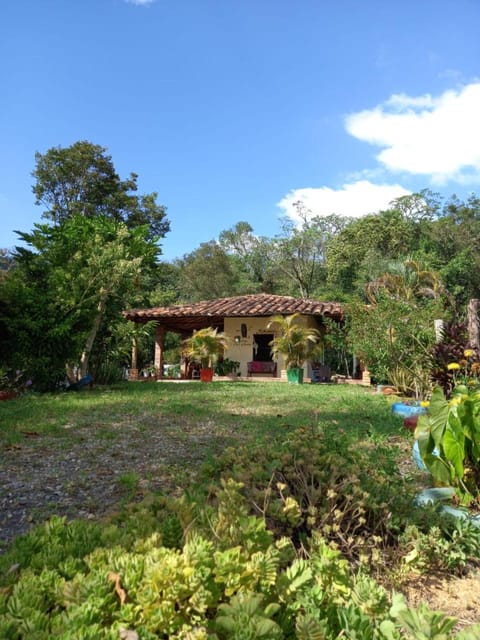 Off site, Garden