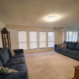 Family-Friendly 3BR Home in Prime Knoxville Location House in Knoxville