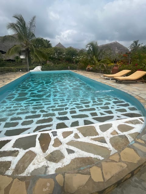 Day, Pool view, Swimming pool, sunbed