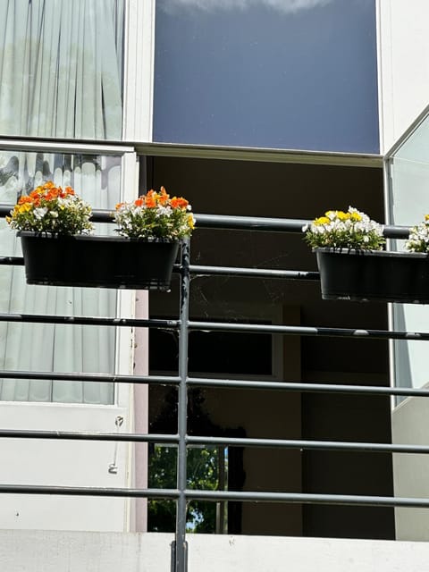 Property building, Balcony/Terrace