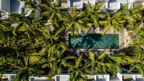 Garden, Swimming pool