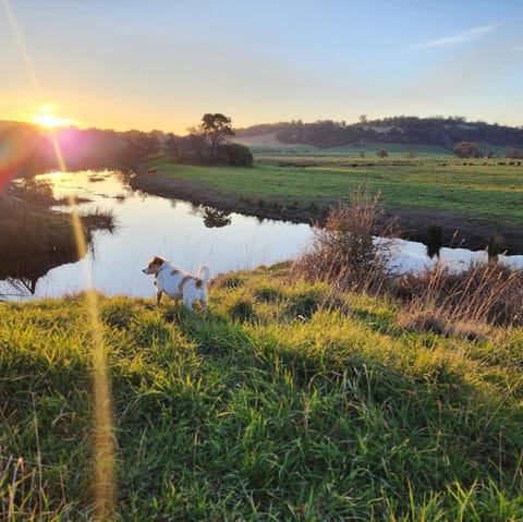Nearby landmark, Natural landscape