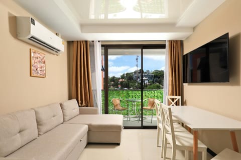TV and multimedia, View (from property/room), Balcony/Terrace, Living room, air conditioner