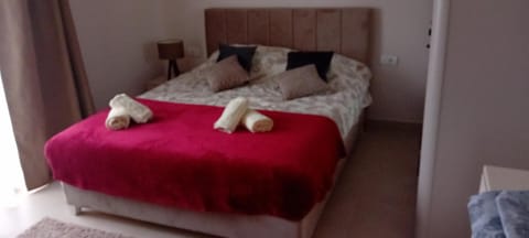 Apartman Bibi centar Apartment in Serbia