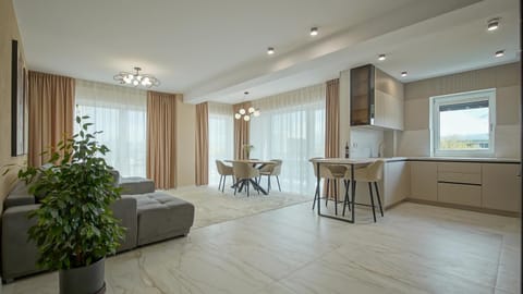 Kitchen or kitchenette, Living room, Seating area, Dining area