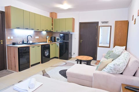 Kitchen or kitchenette, Living room, Seating area, Dining area, dishwasher, stove