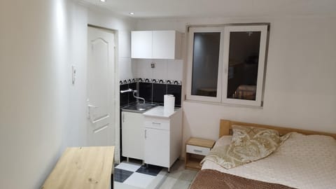 Small Apartment private bathroom ,strong internet Apartment in Belgrade