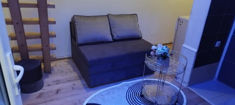 Small Apartment private bathroom ,strong internet Apartment in Belgrade