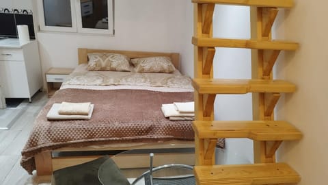 Small Apartment private bathroom ,strong internet Apartment in Belgrade