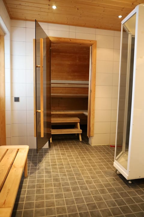 Luosto Villa D Apartment in Rovaniemi