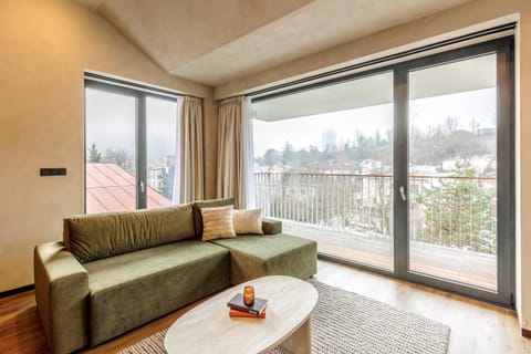 View (from property/room), Balcony/Terrace, Living room