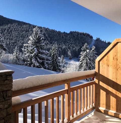 Winter, View (from property/room), Balcony/Terrace, Mountain view