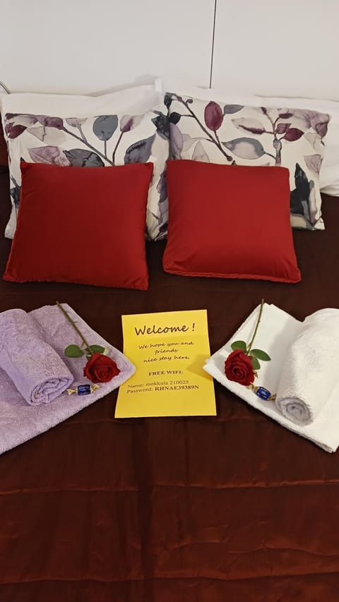 FAMILY DELUXE - SLEEP WELL! Very quiet night - Queensize good quality twinbed and second bedroom 2 single beds- Spacious 60m2 - supermarket Prisma and restaurang only 200m - ski rental and trail - tea and coffee - towels House in Finland