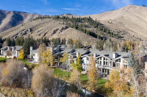 Pinnacle Townhome #9 House in Ketchum