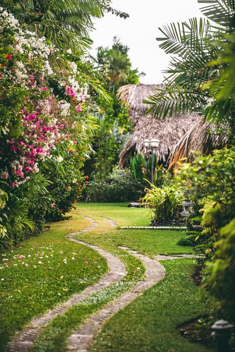 Natural landscape, Garden